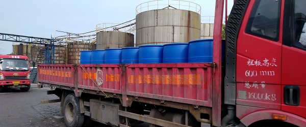 TIKTOK免费版人版网站運輸案例